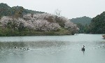Original Size: 600 x 362, 51KB